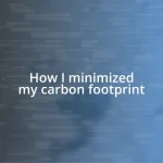 How I minimized my carbon footprint