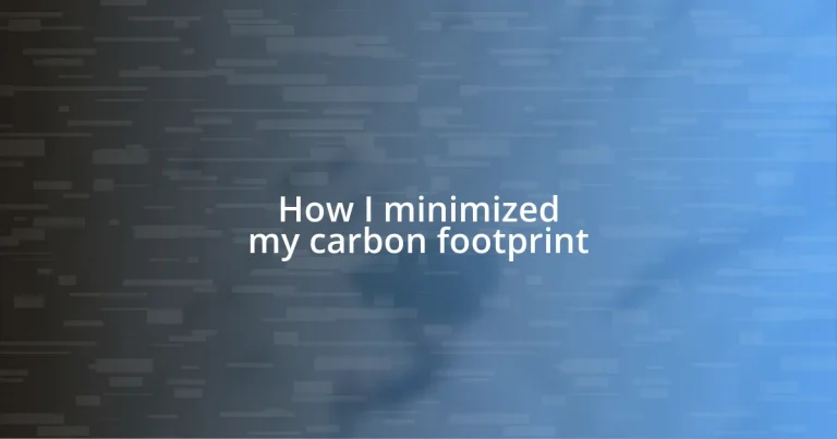 How I minimized my carbon footprint