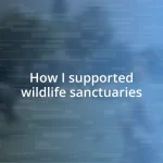 How I supported wildlife sanctuaries