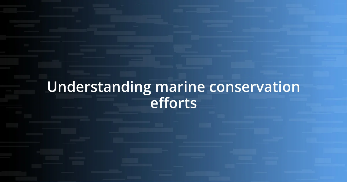 Understanding marine conservation efforts