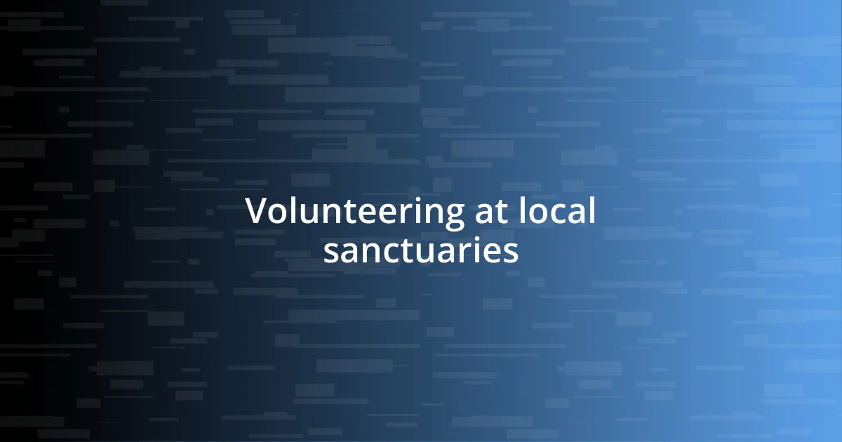 Volunteering at local sanctuaries