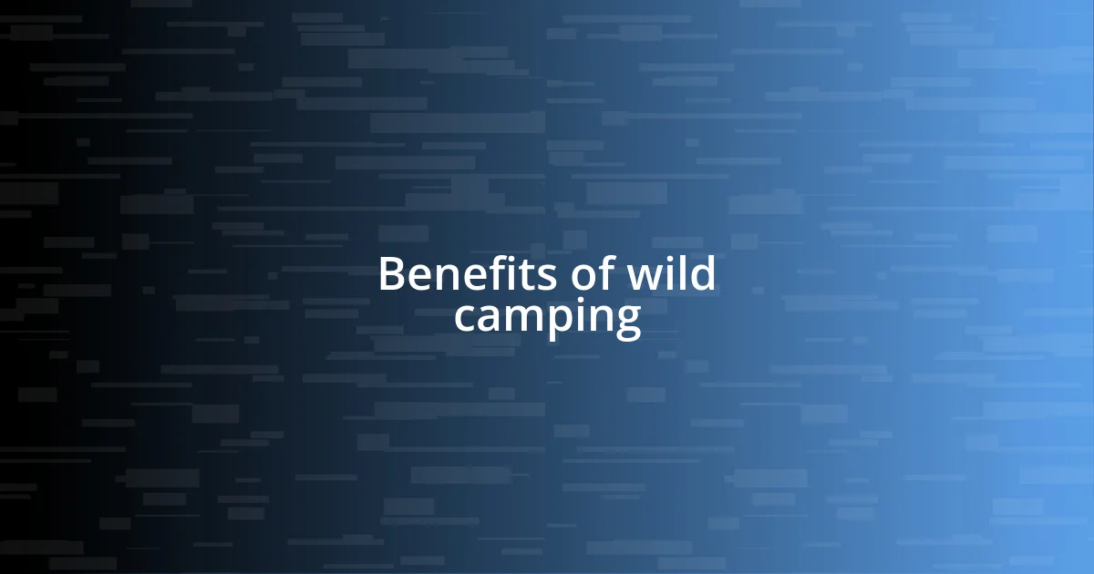 Benefits of wild camping