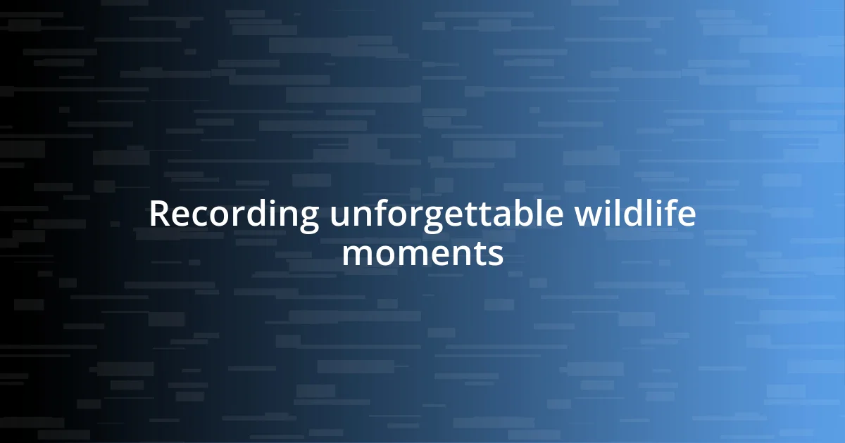 Recording unforgettable wildlife moments